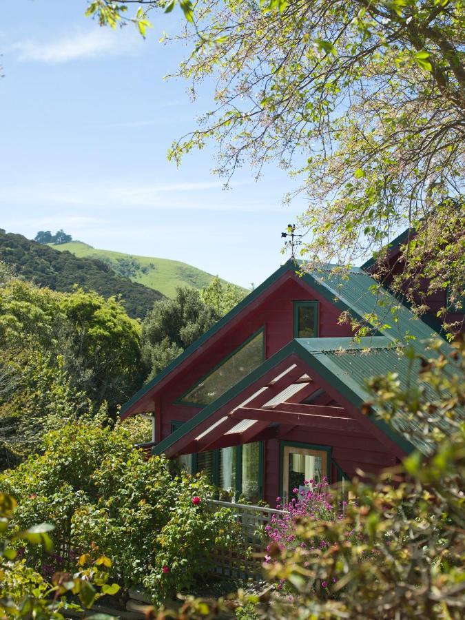 Hereweka Garden Retreat Дьюндин Экстерьер фото